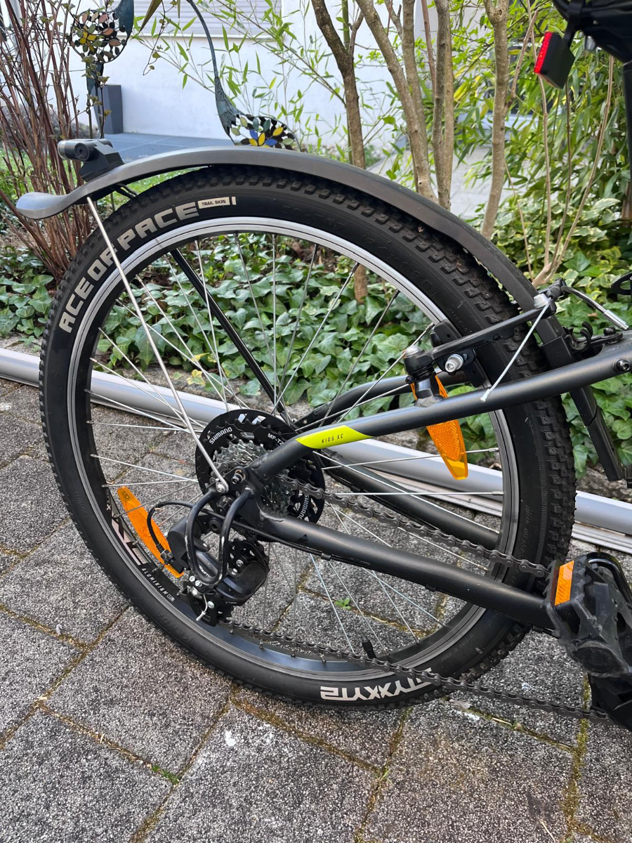 Bulls Sharptail Street 24 Zoll grau, 7 G 2