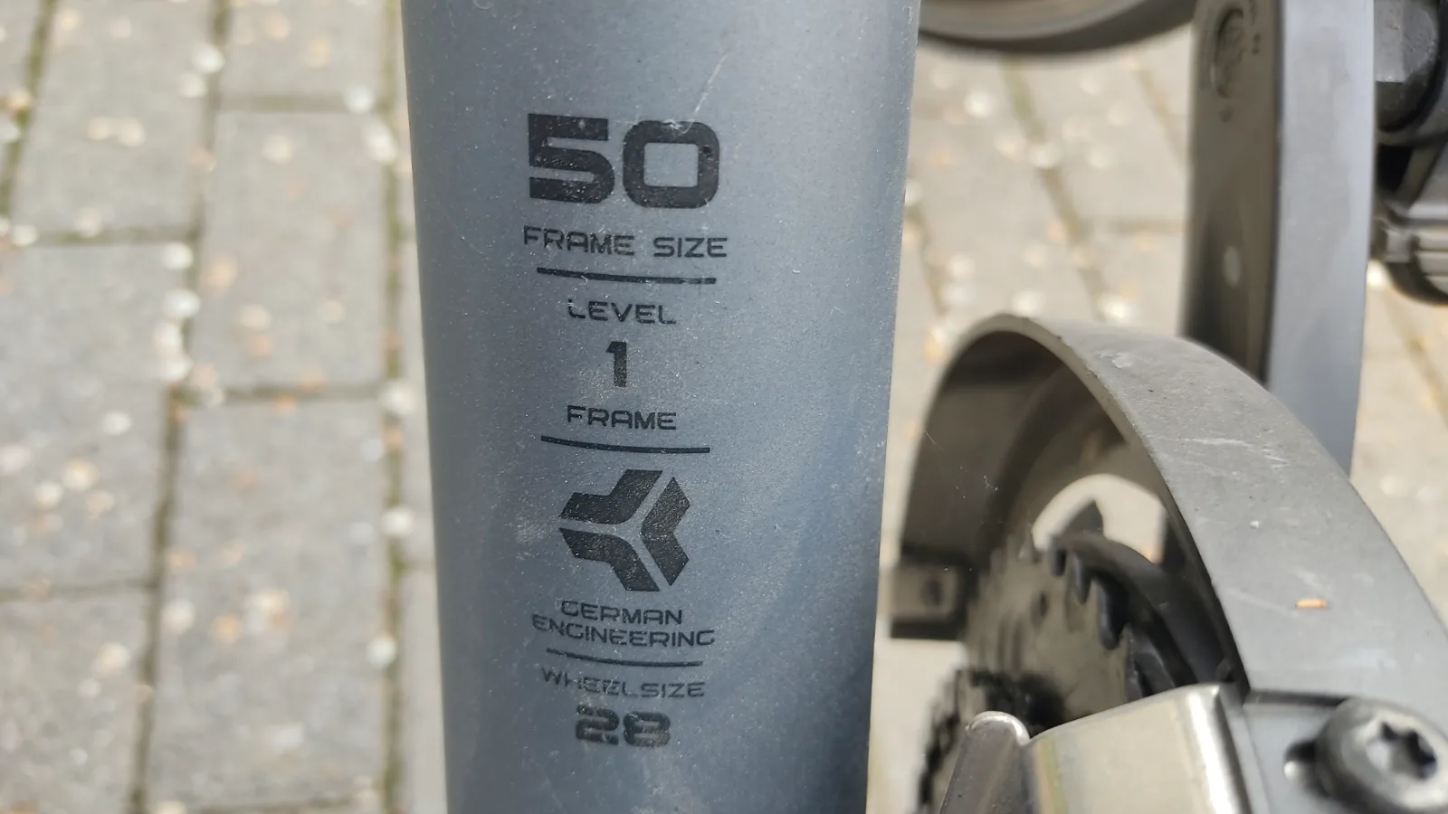 Carver Trekkingrad Damen 3