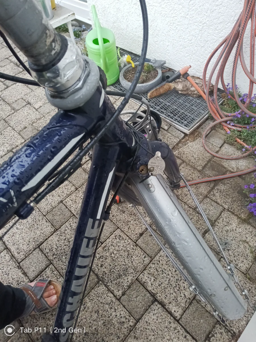 Schauff Castilia 24V Herrenrad 2