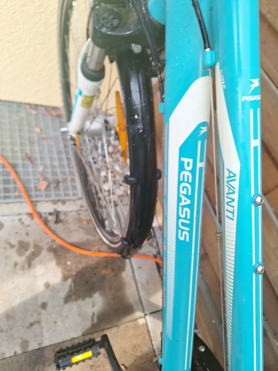 Fahrrad für Damen 2