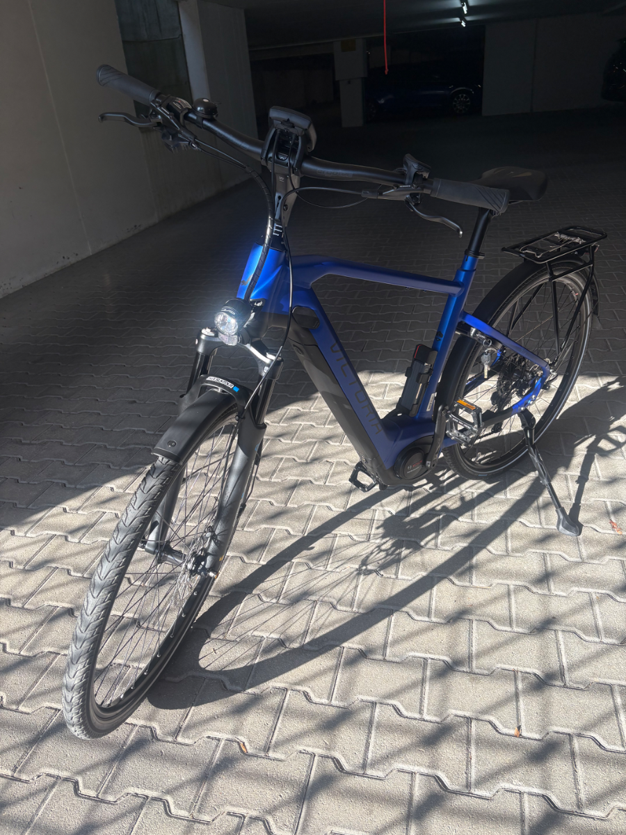 E Bike Herren Viktoria